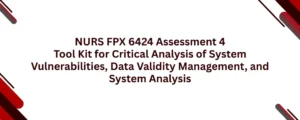 NURS FPX 6424 Assessment 4 Tool Kit for Critical Analysis of System Vulnerabilities, Data Validity Management, and System Analysis